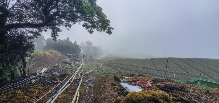 出登山口，來到產業道路，還要走1個多小時才能到公路，厭世捏～～