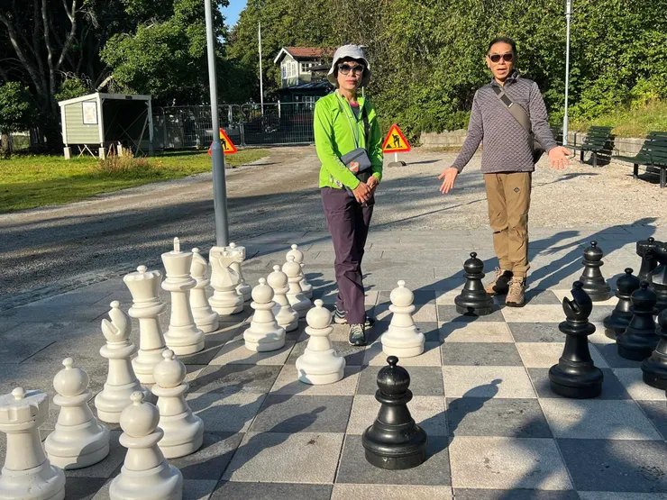 可運動和益智的大型西洋棋