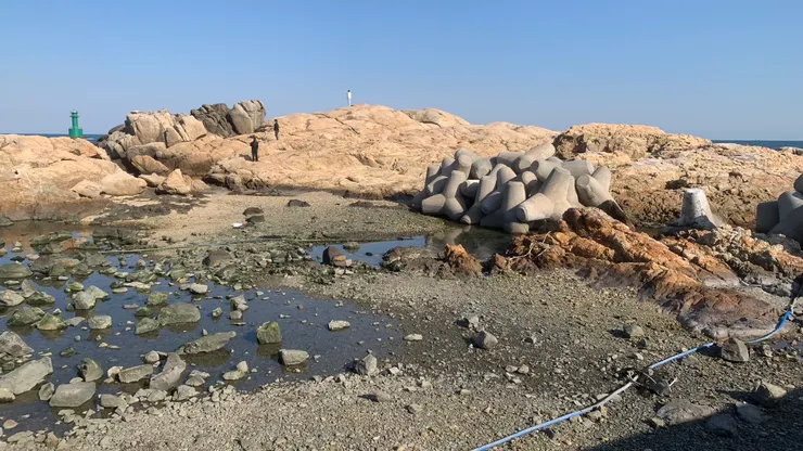 往前看出去能有不同視野。