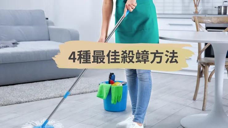 學習如何利用簡單有效的拖地除蟑法,使用天然材料如白醋和檸檬汁,驅趕家中的蟑螂,並保持家居清潔。本文詳細介紹了拖地除蟑的原理、所需材料、製作步驟及使用注意事項,適合有嬰幼兒或寵物的家庭。