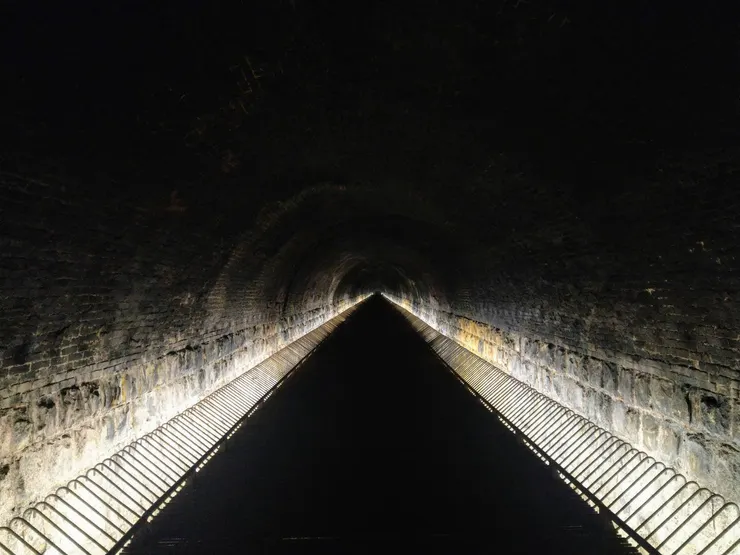 111年7月3日起至9月3日止試營運期間,需透過網路申請入場