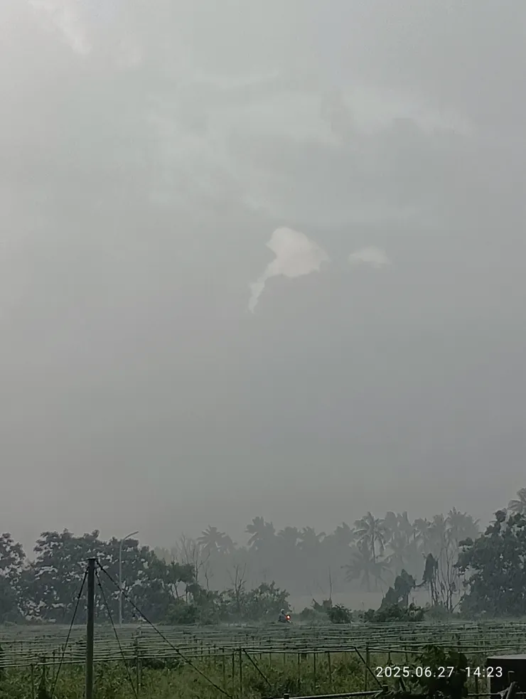 雨均霑，自拍攝