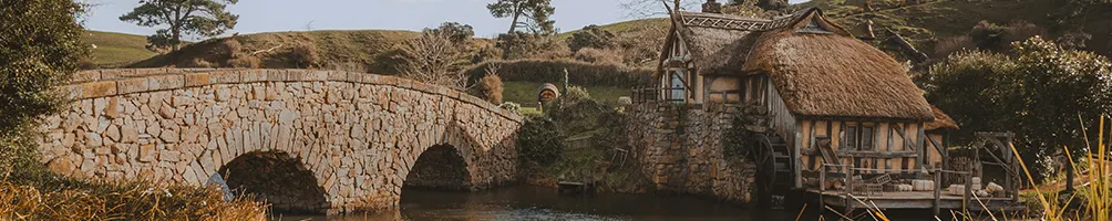 吟遊詩人芒果的沙龍