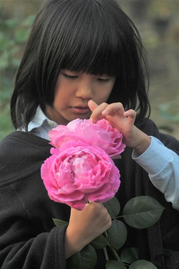 低頭不為了賞花，而是在看花裡有沒有蟲蟲。