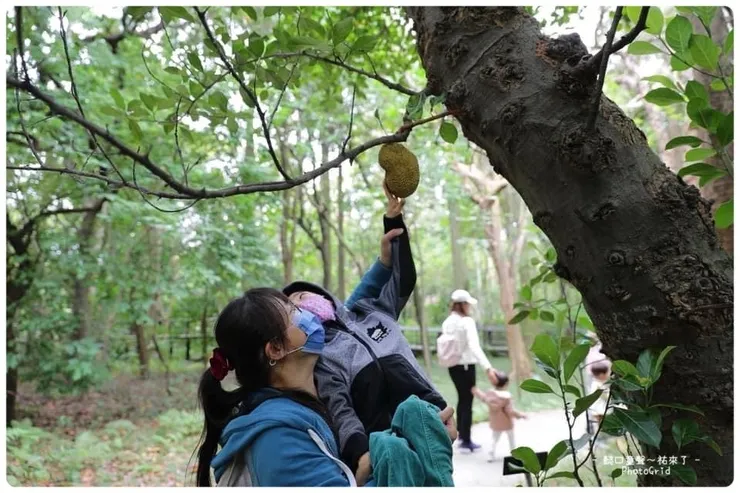 每一個孩子無論有無障礙都需要被重視。