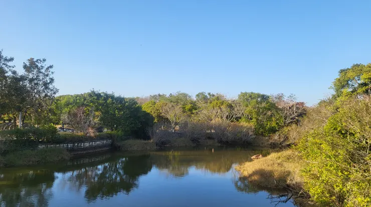 台中都會公園(李建崑攝影)