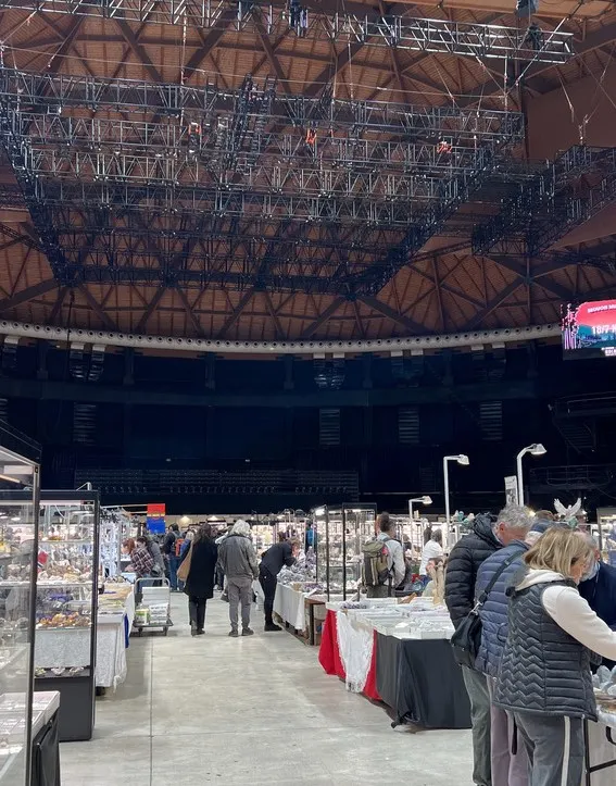 波隆那礦物展每年舉辦在Unipol Arena