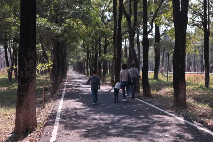 車放路旁，下車在自行車道上走走的家庭