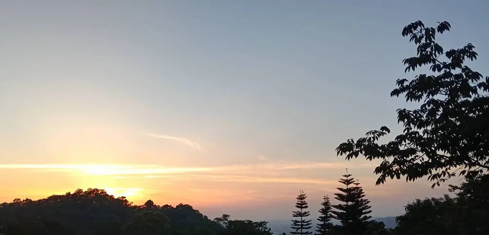 普通讀者的書櫃