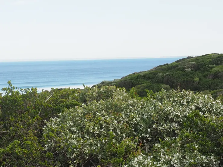 太陽正式升起以後,色彩變得更加鮮明了