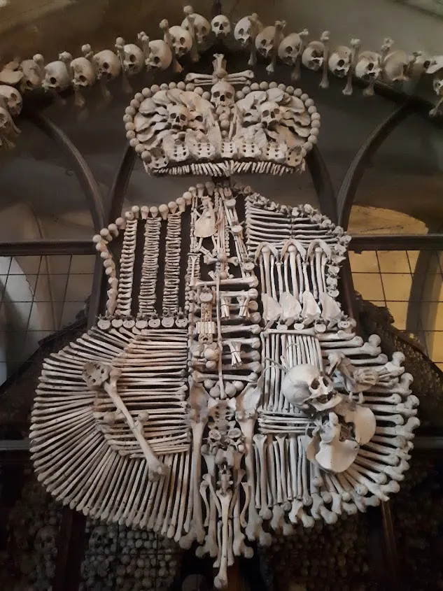 <人骨排列而成>