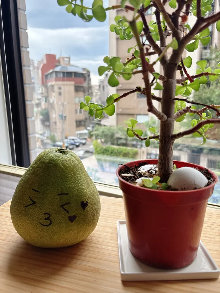 貼照片時覺得可愛，就放上來了，雖然已經是中秋的事：D（原來我已經這麼久沒來）