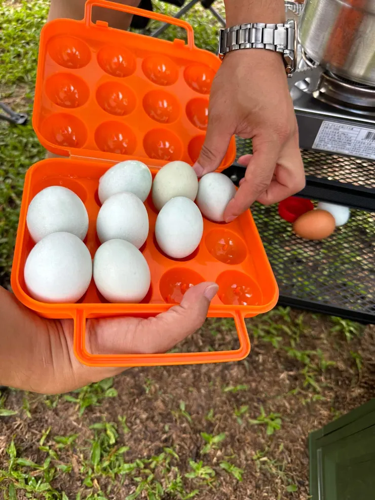 雞蛋盒/蛋很重要，一日三餐加泡麵，有了它們，就是煮飯高手