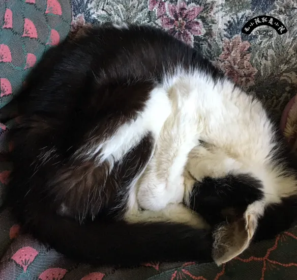 在這黃金最後一哩路，我們該做什麼？就是缺少放手的勇氣....