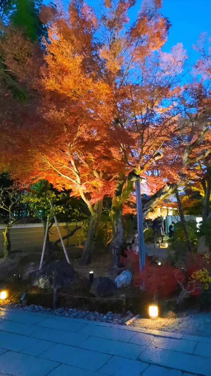 進入高台寺前也有少許楓紅