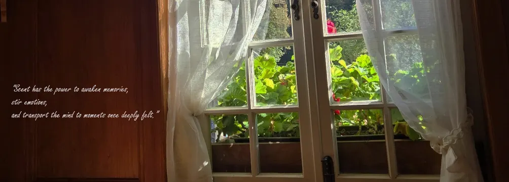 mimi 老師 - 芳療筆記