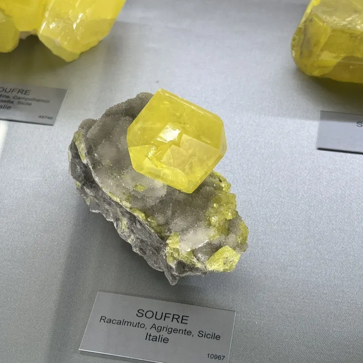 在法國礦物博物館看到的自然硫與霰石共生，是非常難得的完整大晶體。