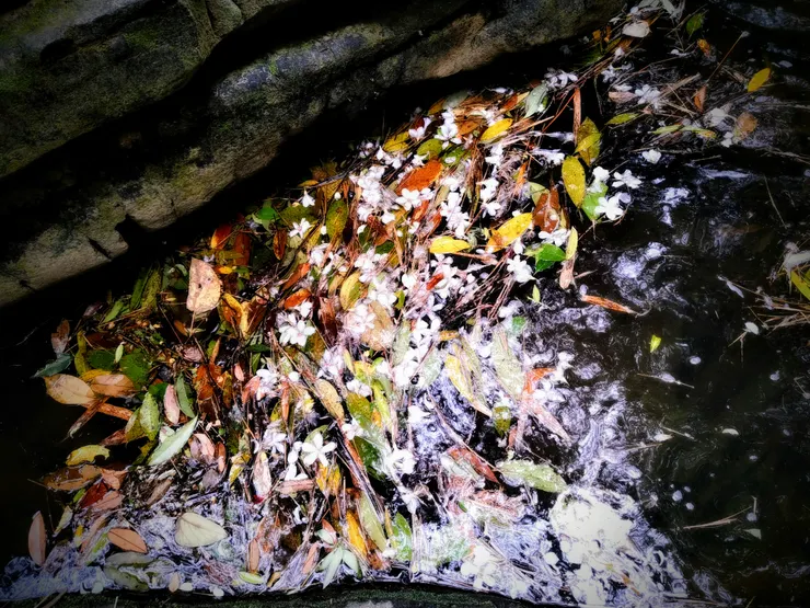 photographer by Hsun