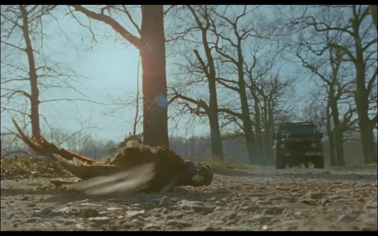 林內死去的雉雞與遠方的行車