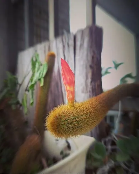 Day 30 一個循環的結束,新的課程開啟