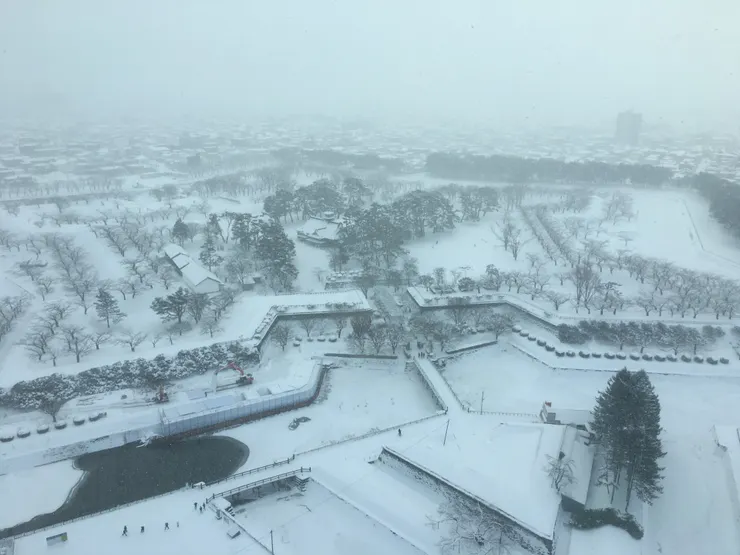 高空看五稜郭。