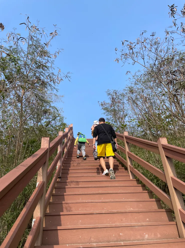 很多年輕父母會帶小小孩來散步，很棒