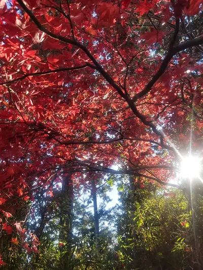 耐受度因人而異