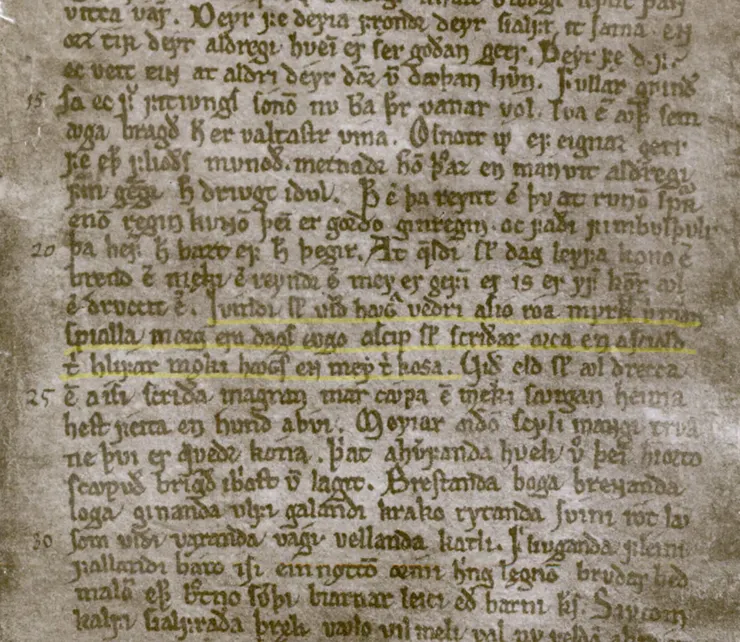 文獻中螢光筆畫線處即此段落