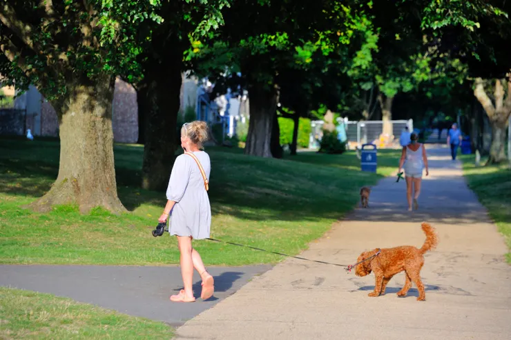 【改做公園閒步蹓狗划船或垂釣】