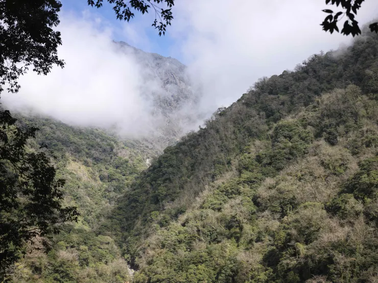 這是奇萊保線所附近的天長溪溪谷。國道六號計畫從右手邊山的後方出山洞，以橋樑跨越天長溪，然後在左手邊坂邊山山體上打出雙車道以上的大隧道繼續向東。可以想像深山中忽然出現高速公路高架橋的畫面。