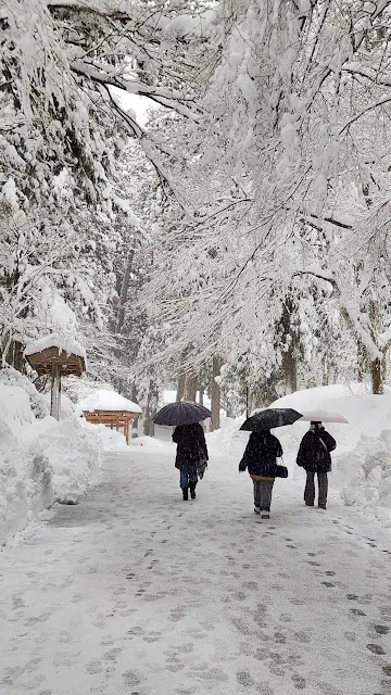 進到永平寺內部也是被雪厚厚地覆蓋著