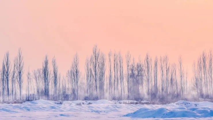 Photo by Yang Shuo on Unsplash