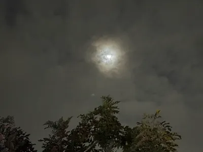 2026/02/24 運動日記_決定再次展開運動的我