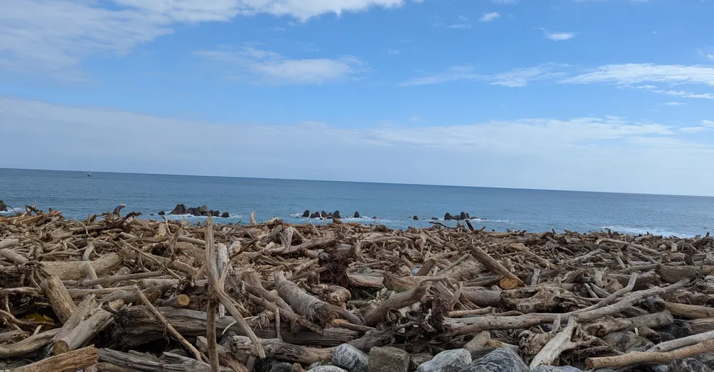 王木的自言自語小天地