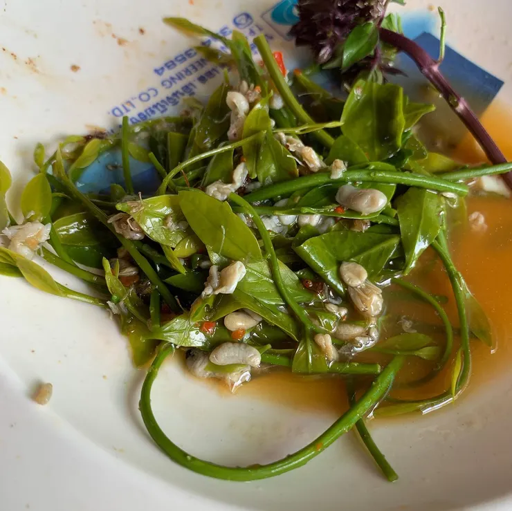 這張照片可以看到比較清楚的螞蟻蛋。