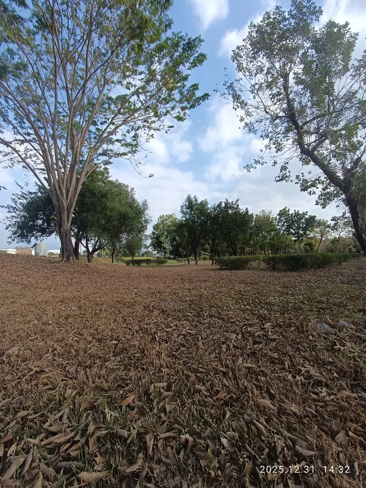 重遊訪老去不堪