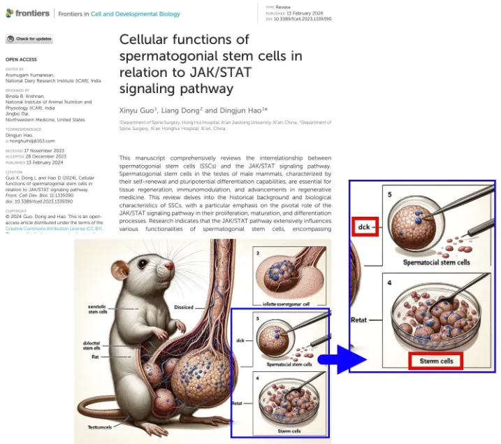 來源:https://www.linkedin.com/posts/juncowan_scientificpublication-chatgpt-copyediting-activity-7175654017316876288-aFoT/