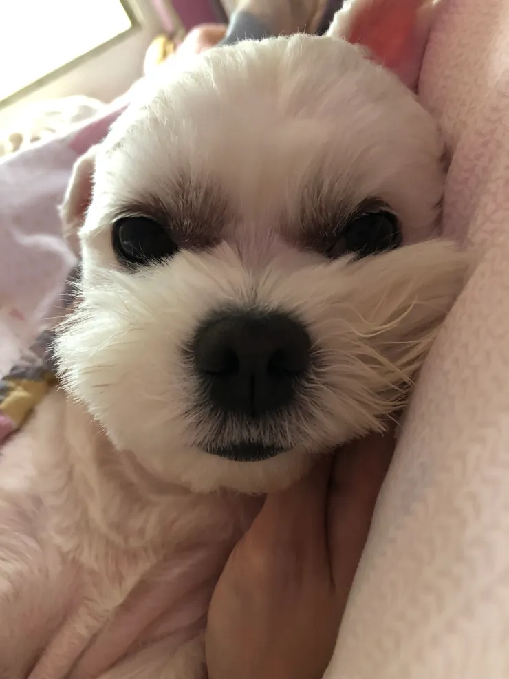 看著你安慰著你,給你我的擁抱