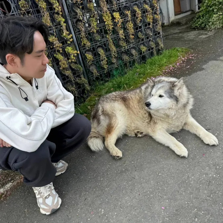 熊熊熊~