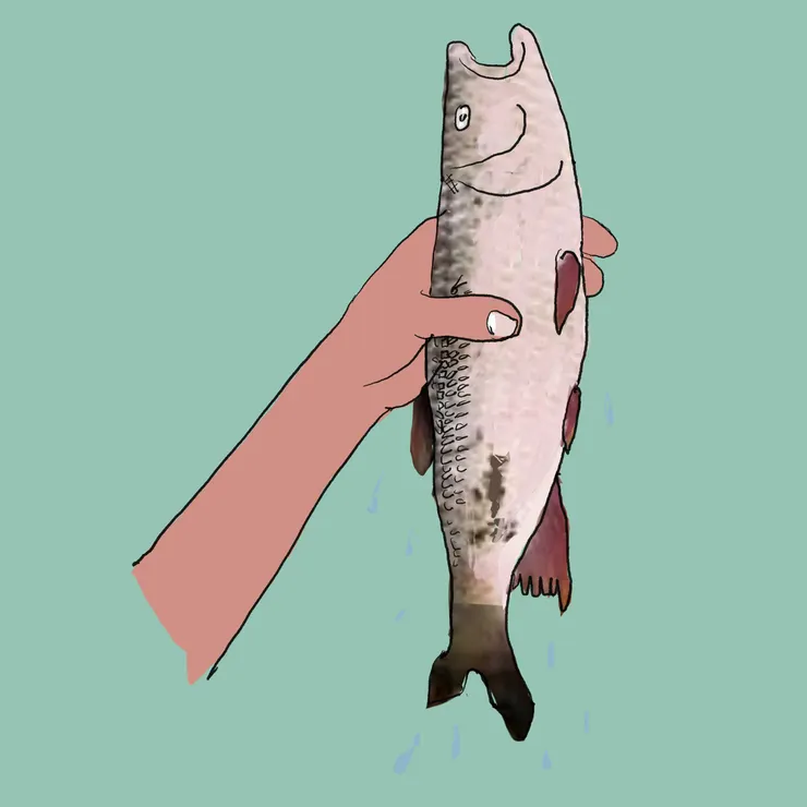 你捕到的是死魚嗎？