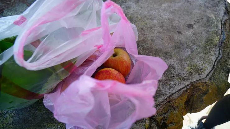 MIT 高山波菜與蜜蘋果