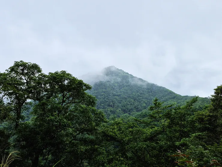 才過一回兒，太和山已在雲霧之中
