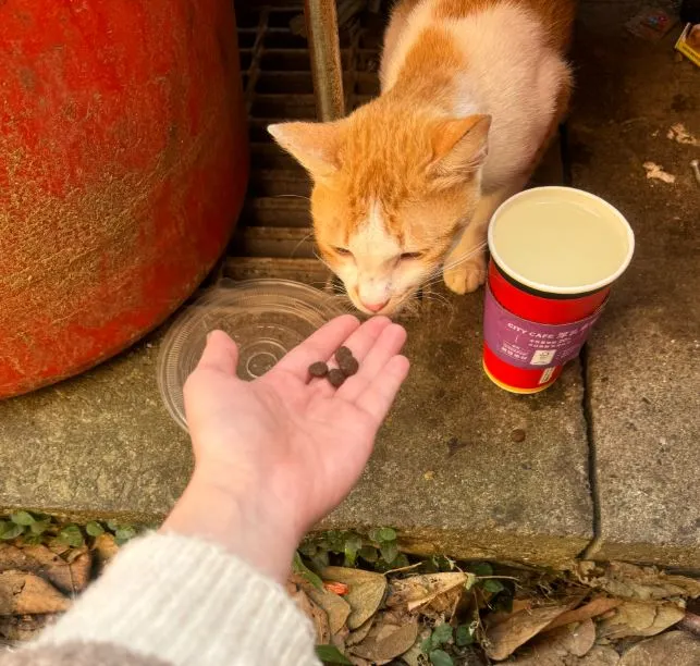 好餓!!在人類手上我也要吃!!