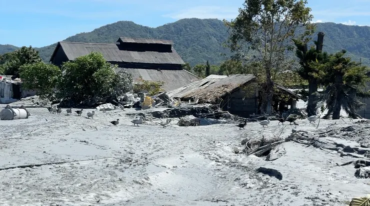 佛祖街46巷列隊行走的鴨子