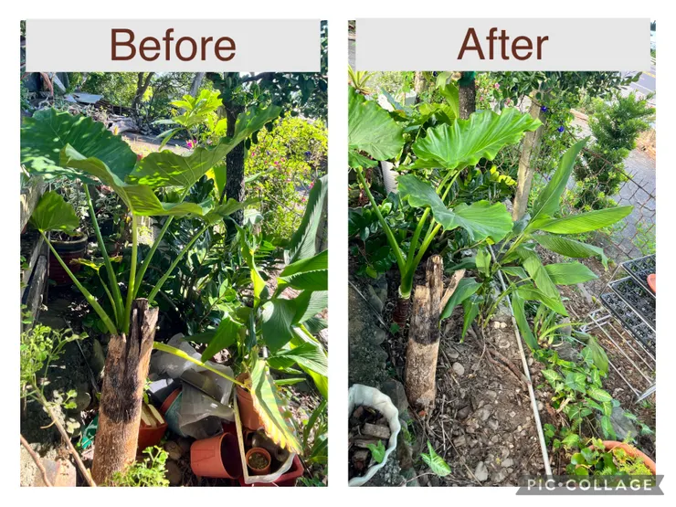 小區域整理前後對比。