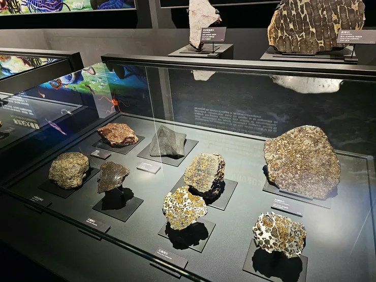 閃亮的石鐵隕石。