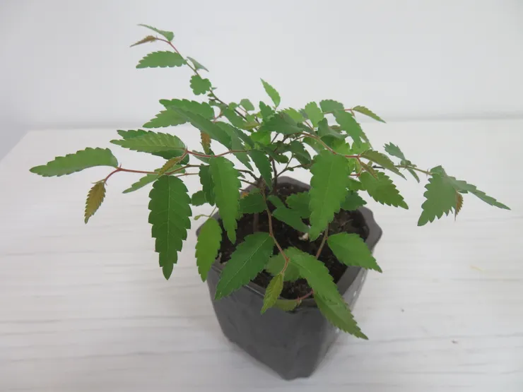 萬里豆豆112.03.24