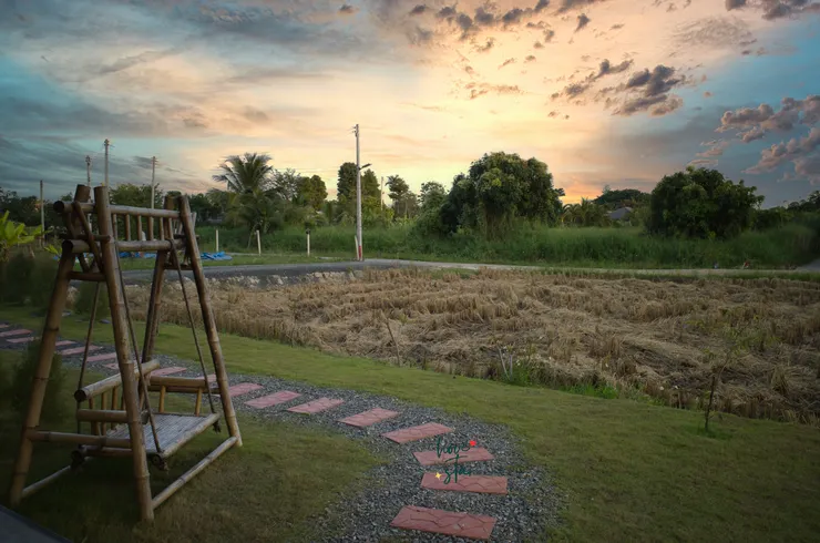 老師在此種植上課會用到的食材