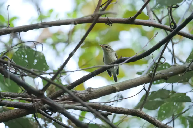 難得停在一處可以好好拍攝