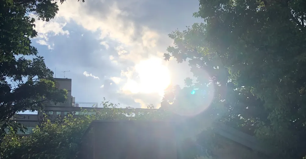 Flynn福來富來恩就來